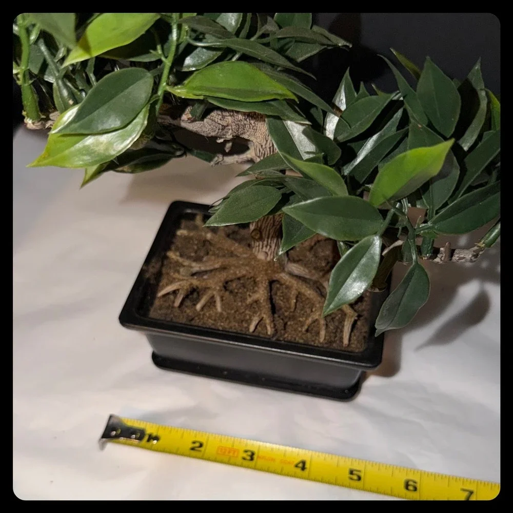 Artificial Bonsai and Succulent Set Home Decor Greenery Black Planters Zen